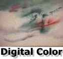  Digital Color logo by Peter Eoyang 